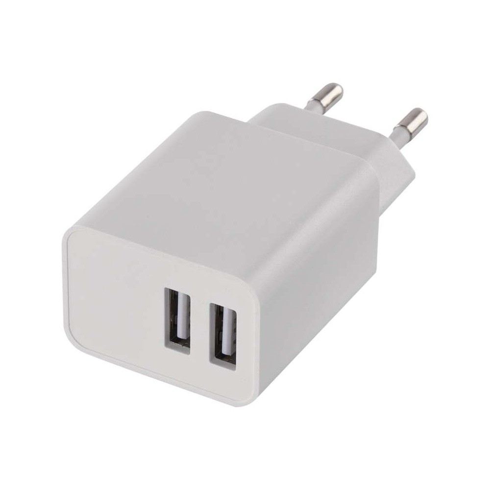 CARICABATTERIE 2 USB 10W NUOVO